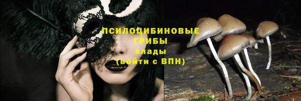 гидра Тавда