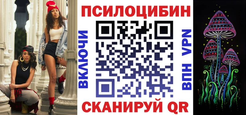 Купить  Устюжна  Псилоцибиновые грибы Cubensis 